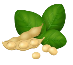 Rutuba%20Agri%20Tech