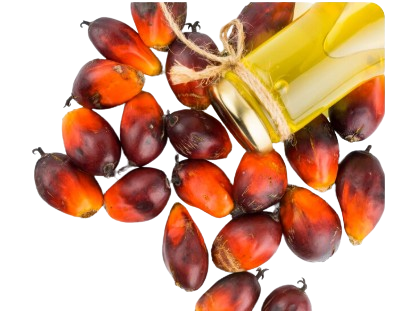 Rutuba%20Agri%20Tech