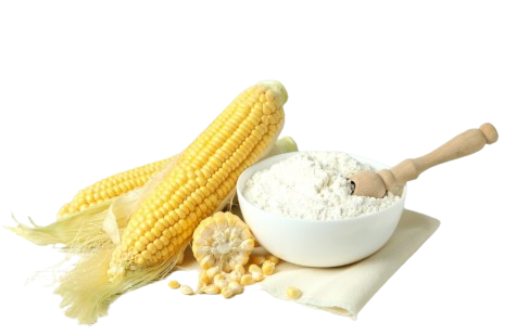 Rutuba%20Agri%20Tech