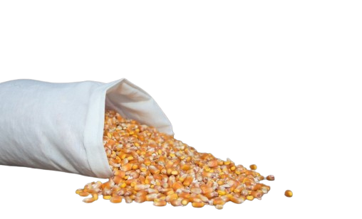 Rutuba%20Agri%20Tech