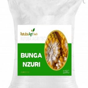 Farine de manioc Bunga Nzuri en sac