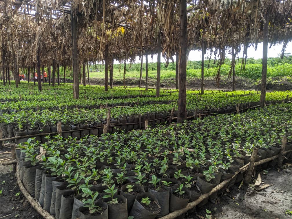 Rutuba%20Agri%20Tech