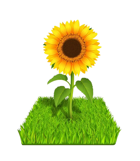 Rutuba%20Agri%20Tech