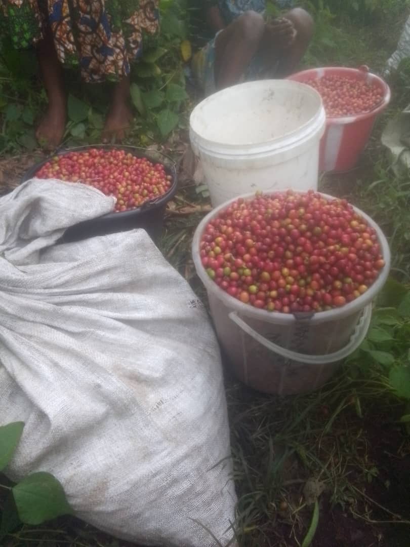 Rutuba%20Agri%20Tech