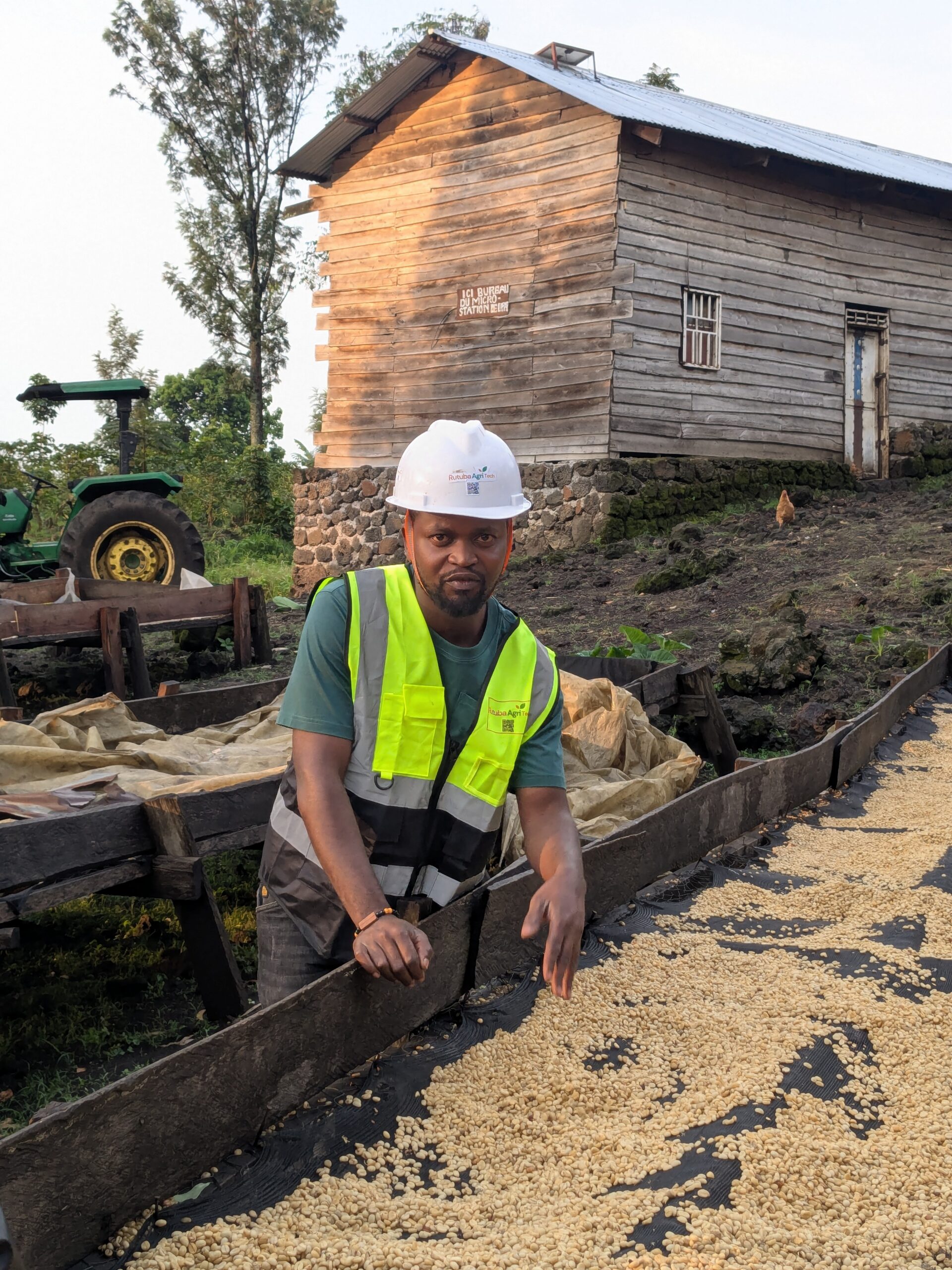 Inspection de la qualité du café parche